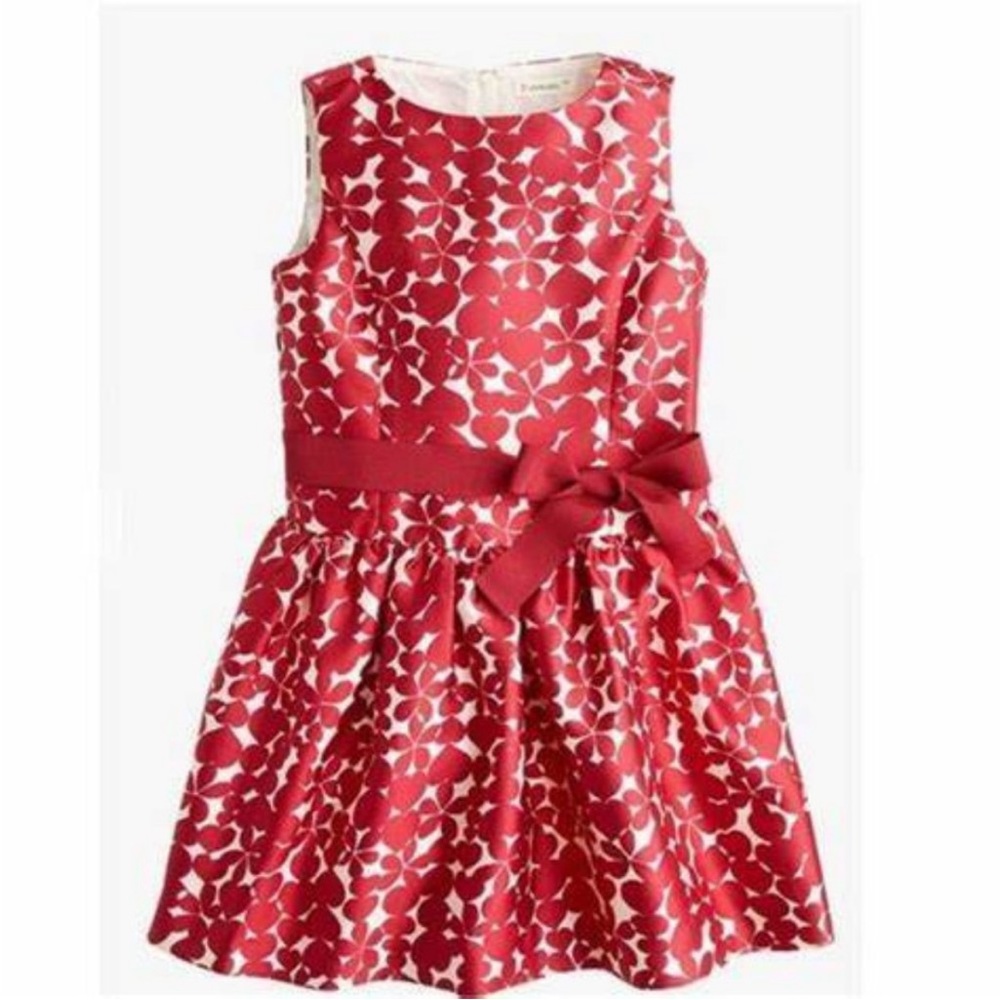 J Crew Crewcuts Girls Heart Pattern Party Dress NWT size 5